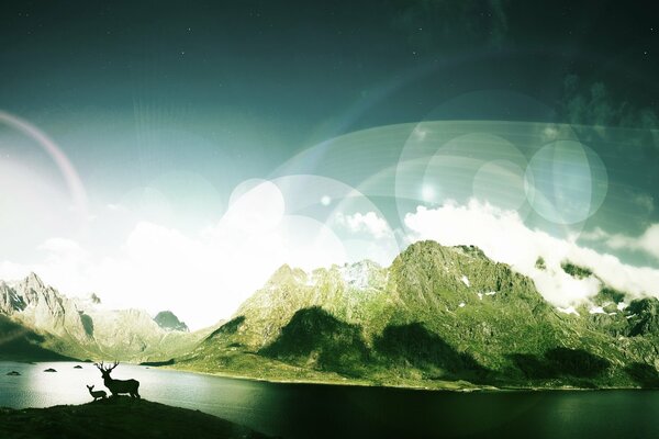 Deer on the background of large mountains, water and clouds