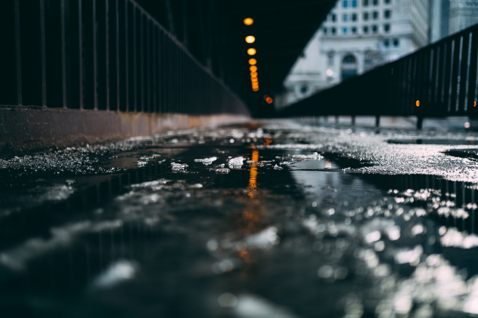 united states chicago winter snow wet close up bokeh