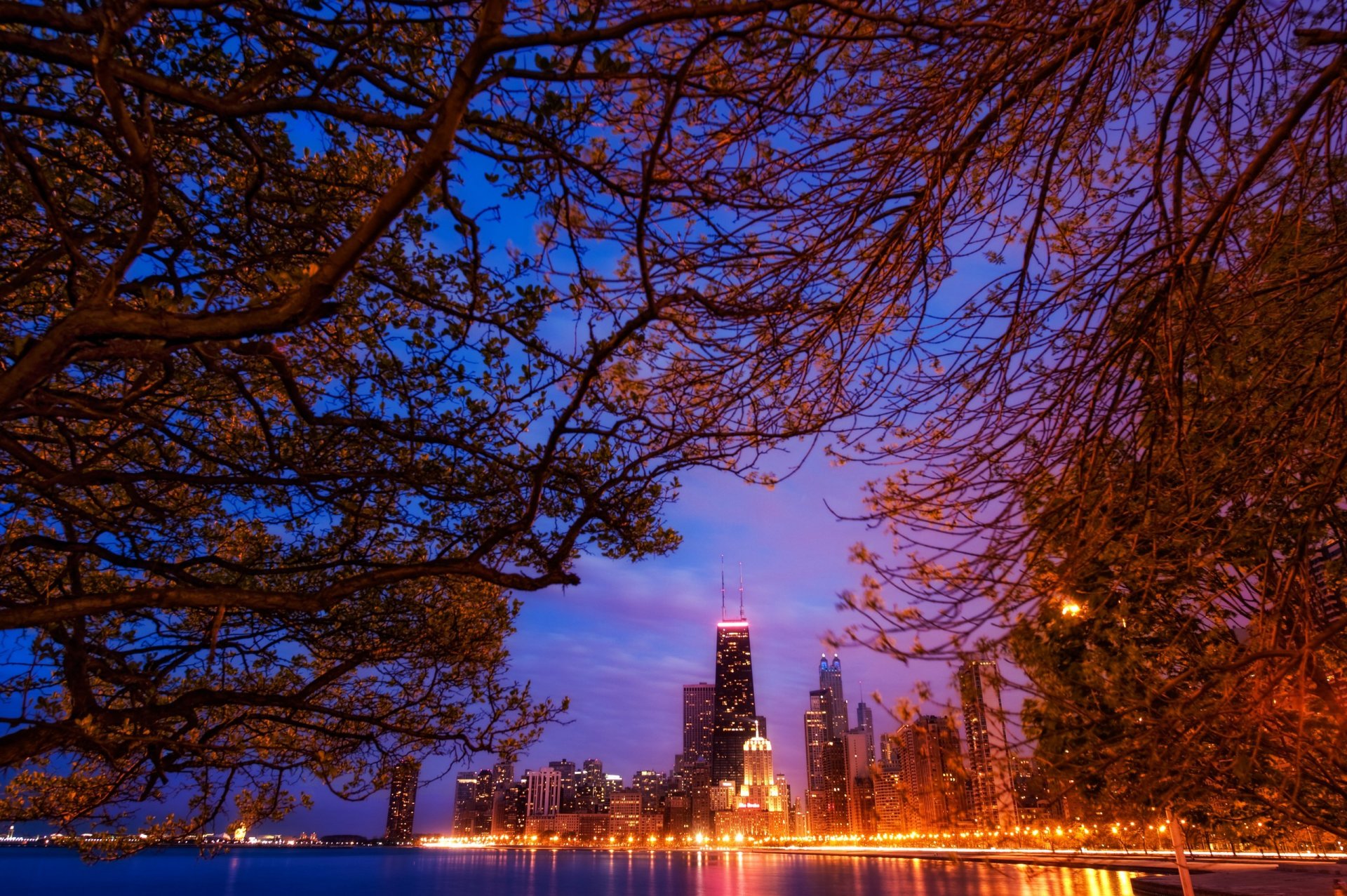 chicago america united states skyscraper night lights landscape branche