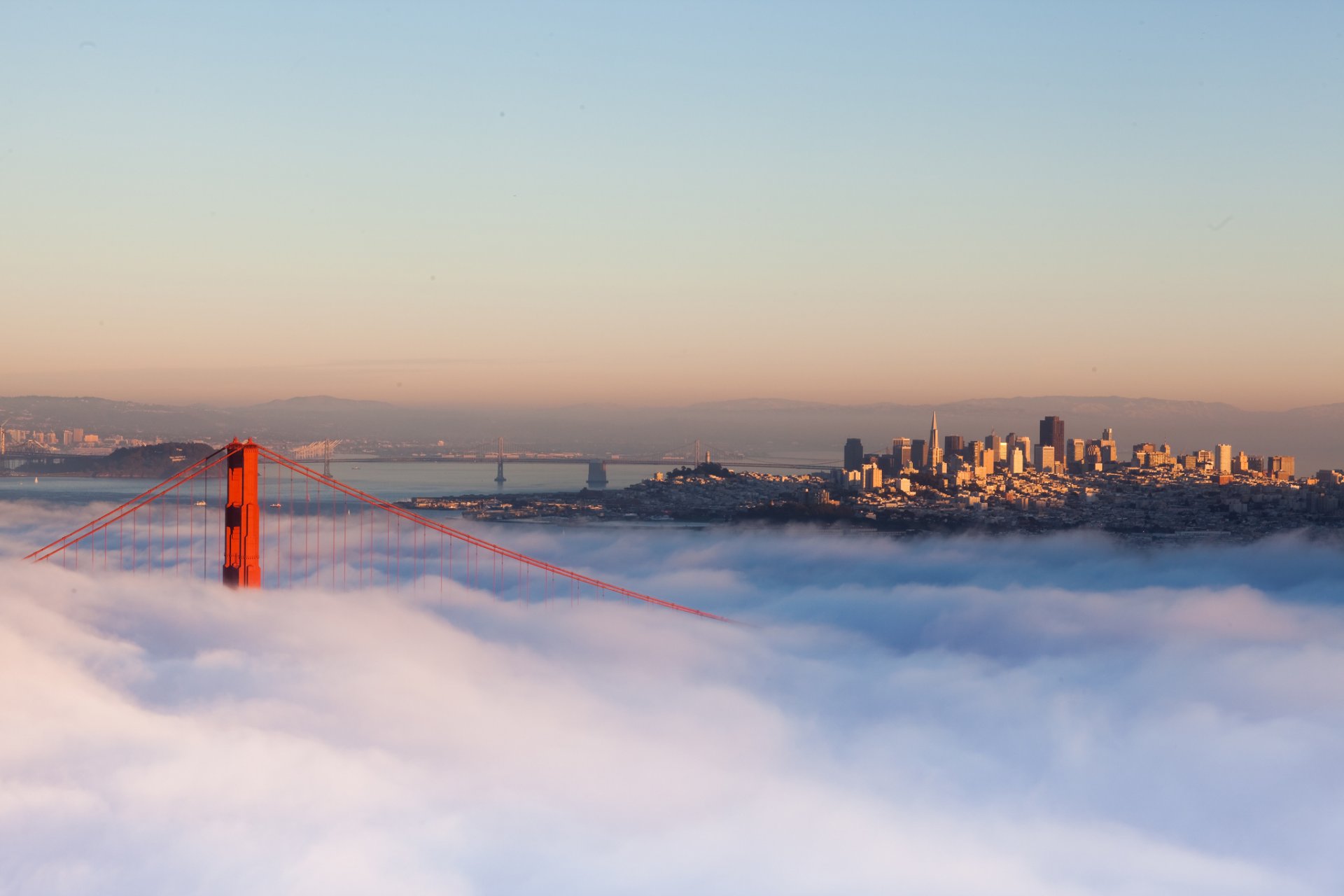 an francisco california usa town morning bridge fog