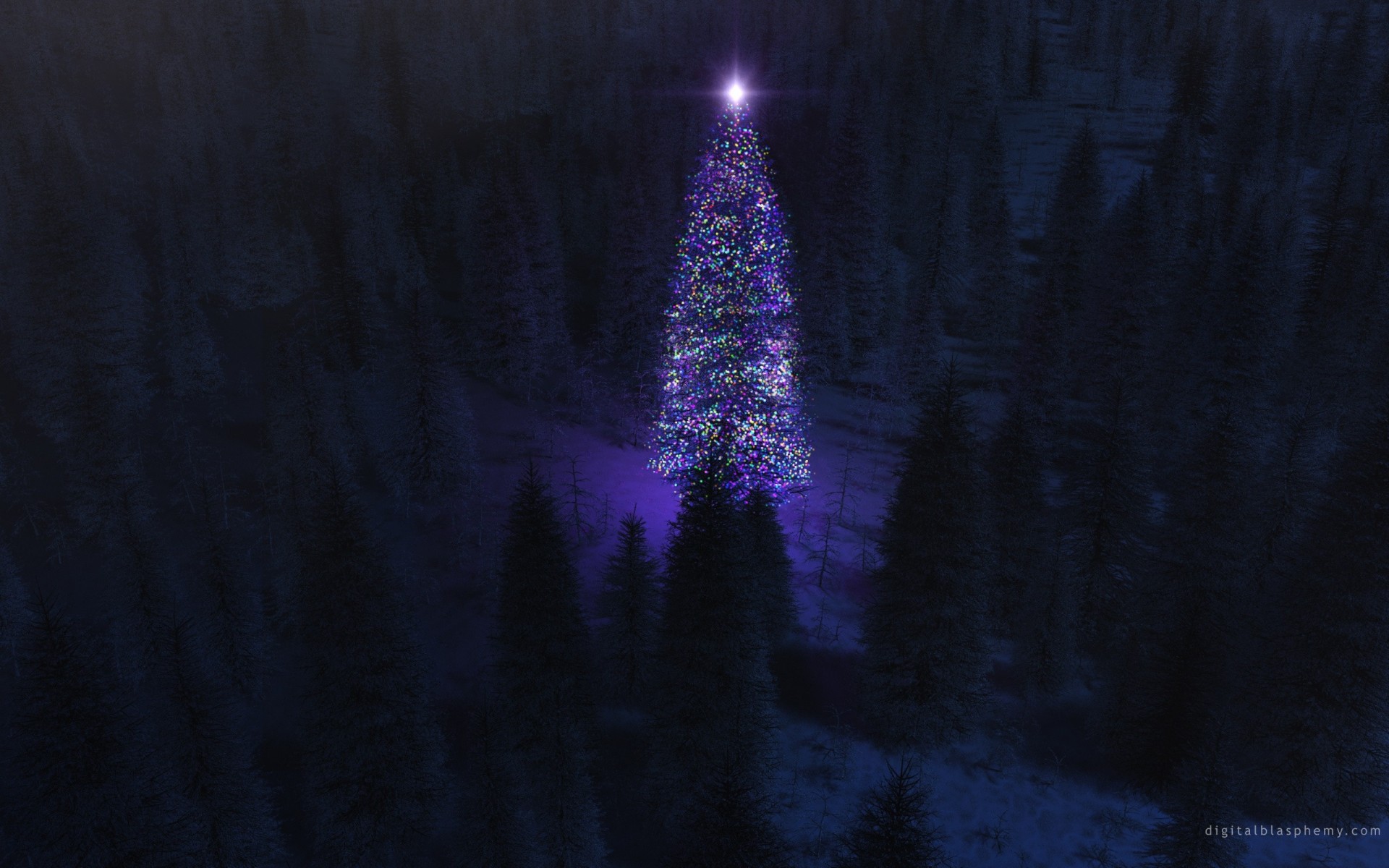 christmas tree night forest new year light