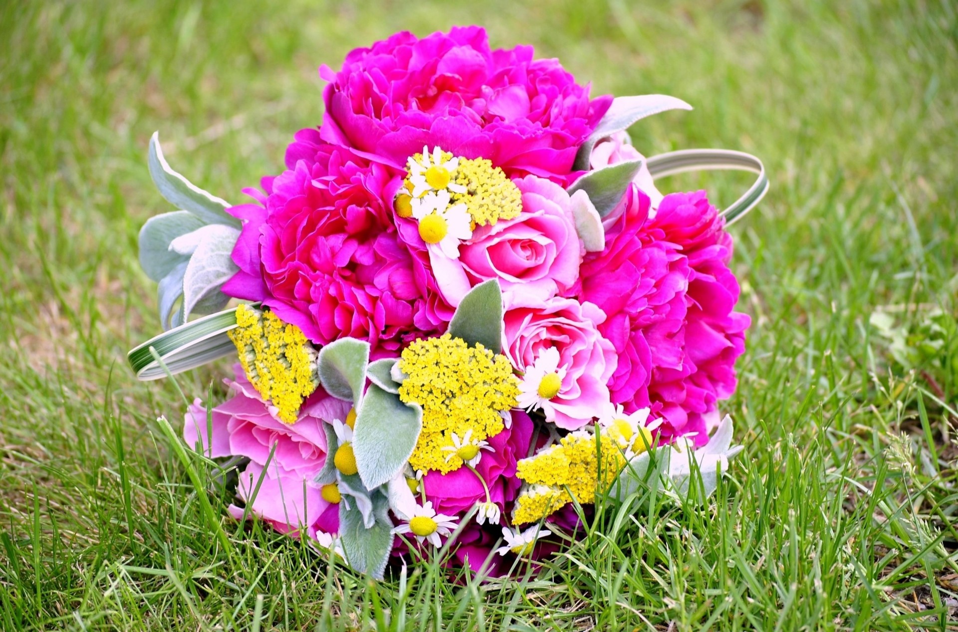 peonies roses chamomile bouquet grass flower