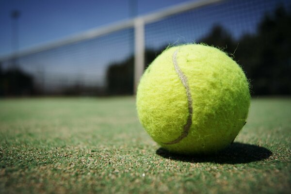 Macro photo of the ball sports court