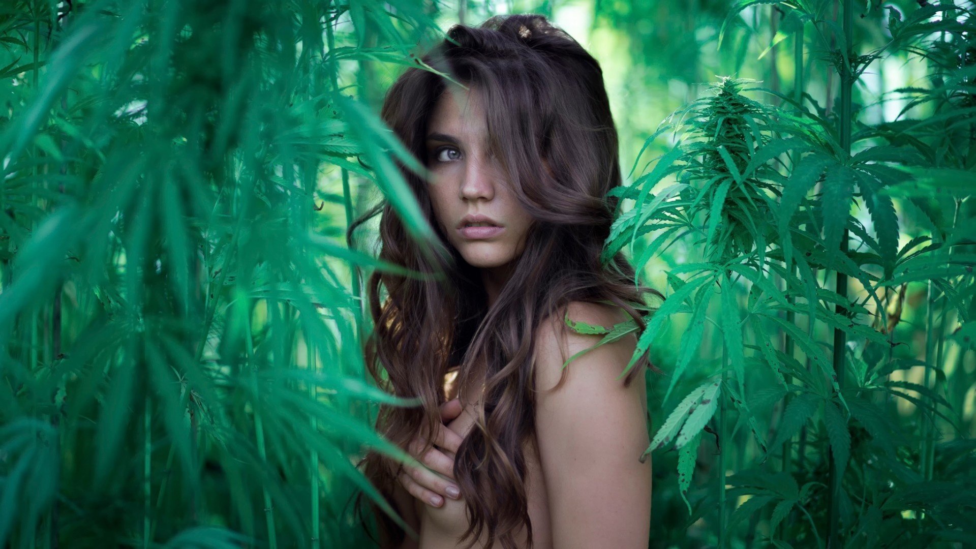 canapla nude girl green look naked