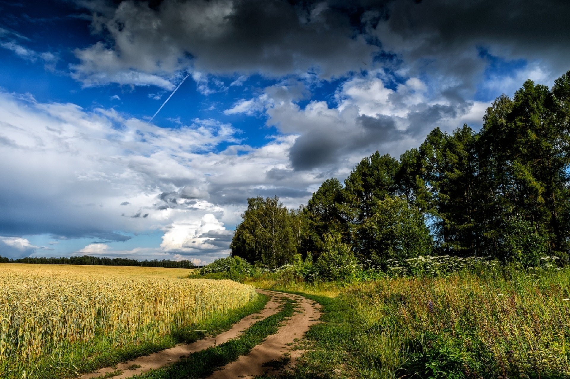 yulia lapteva road spikelets summer sky clouds field rye russia cloud