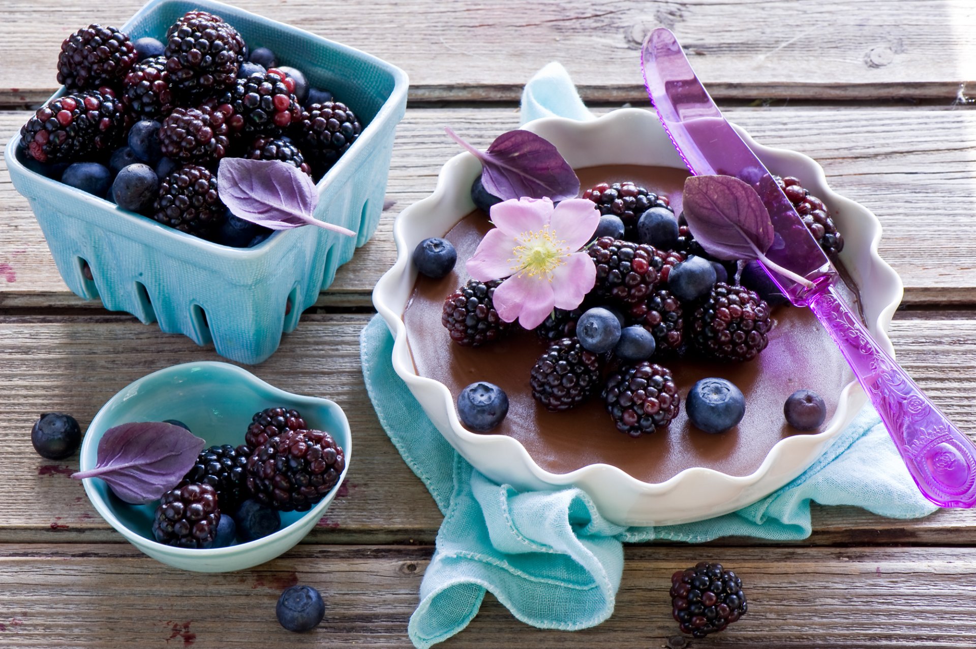 berries blackberry blueberries flower leaves knife