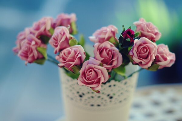 Pink roses in a white vase