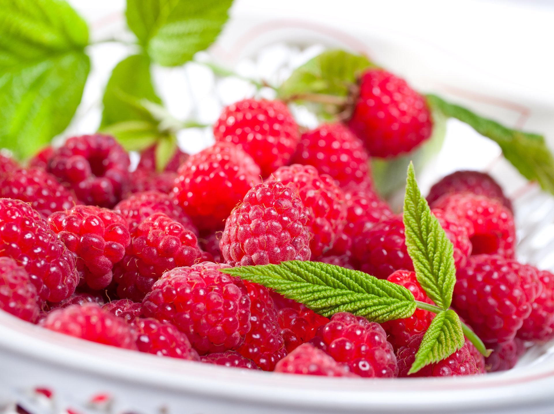 raspberry berries dish leave