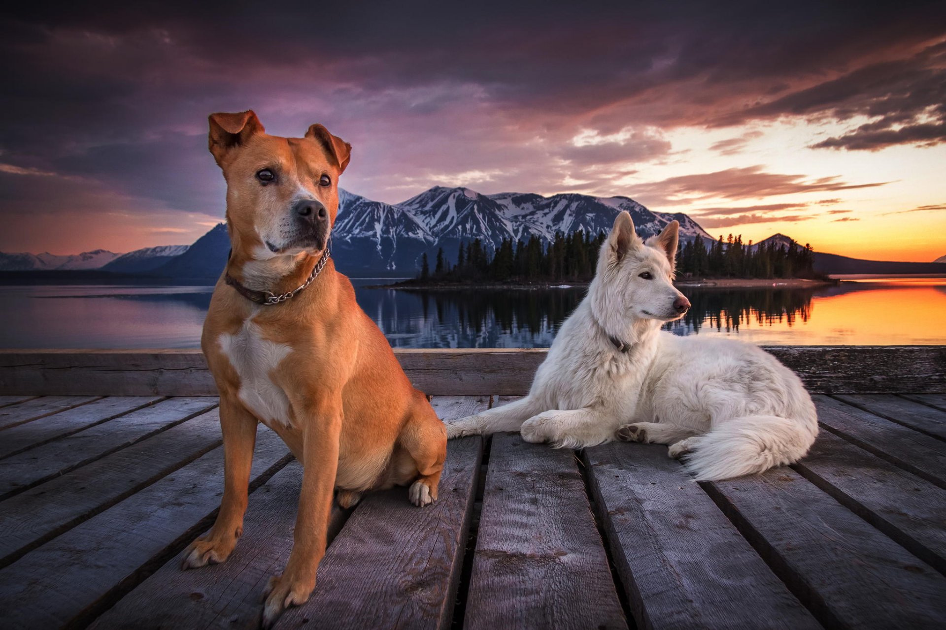 dogs pier mountain sky cloud