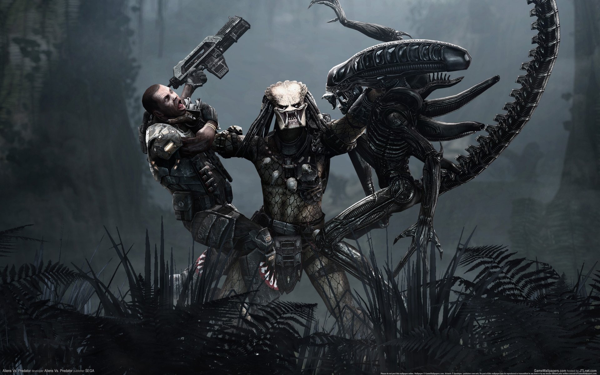 wallpaper games a stranger predator man