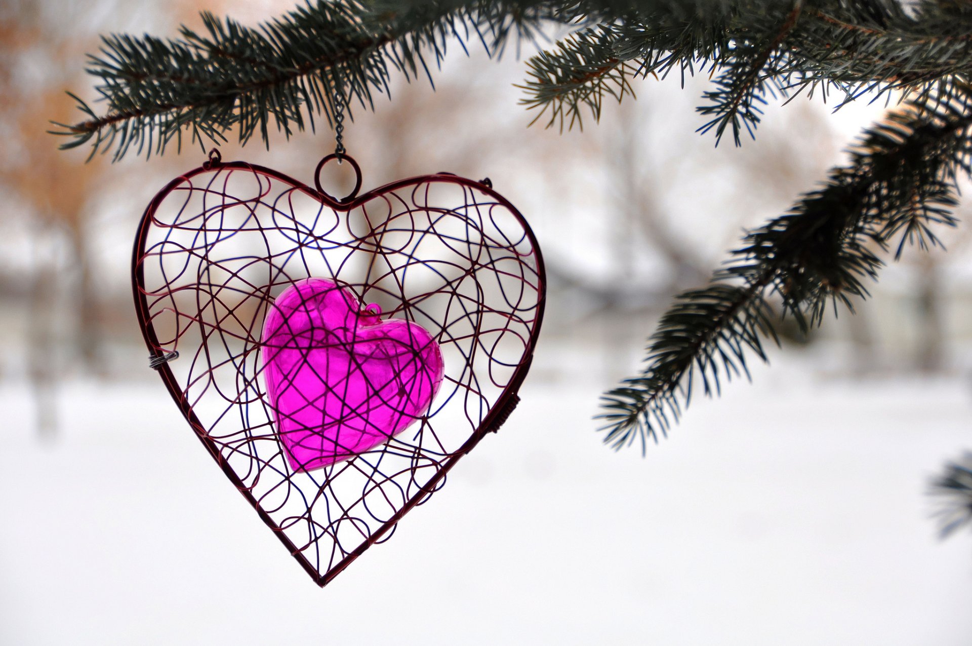 lovers valentine saint heart heart winter tree spruce decoration