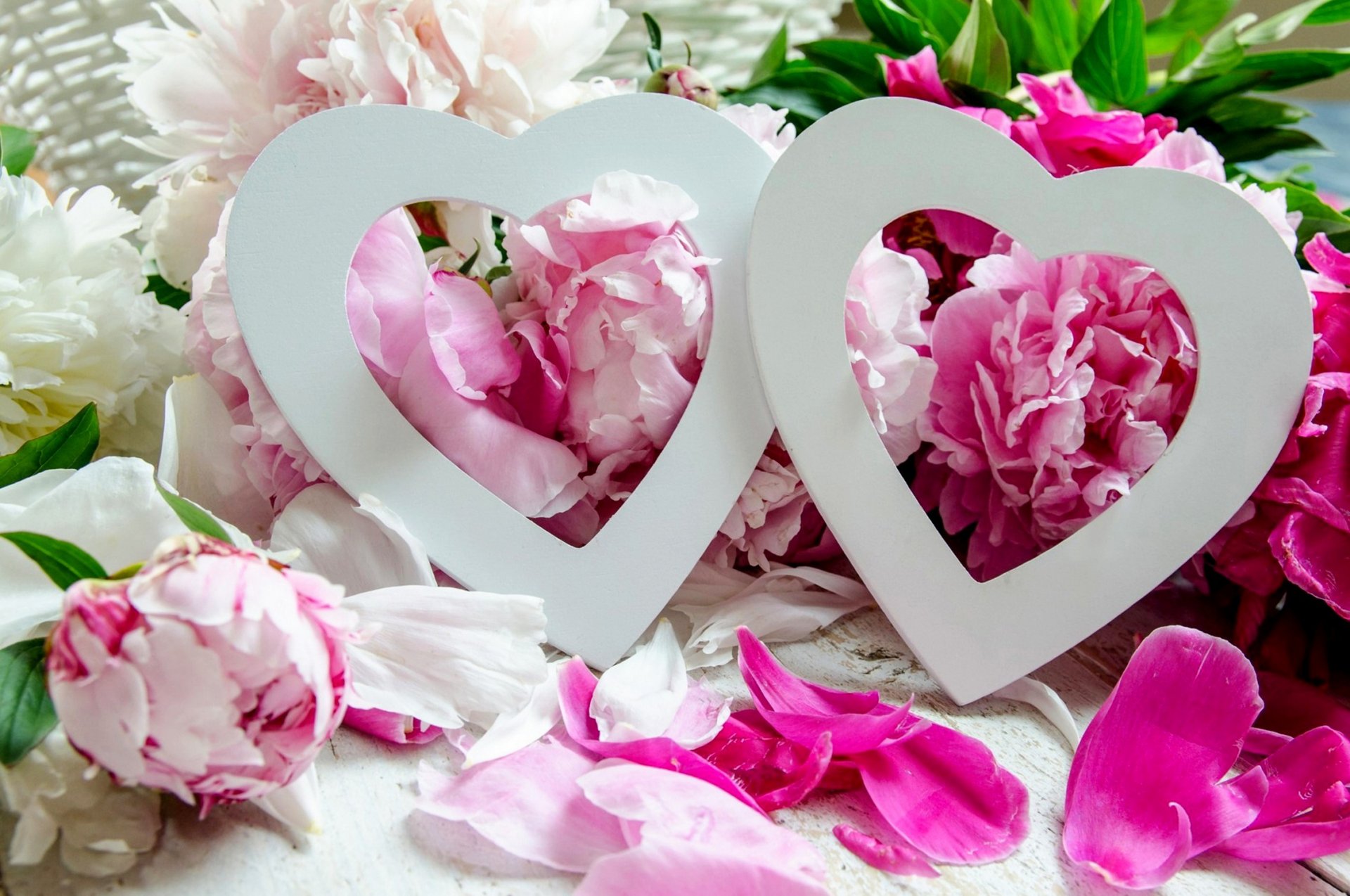 holiday heart flower peonies love