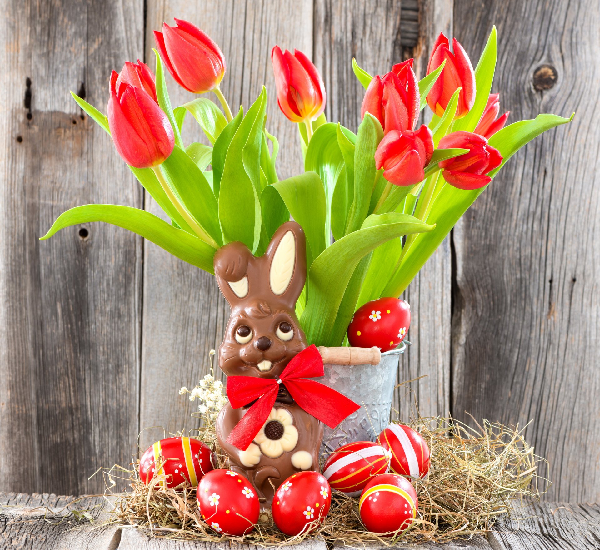 easter eggs flowers tulips bunny red
