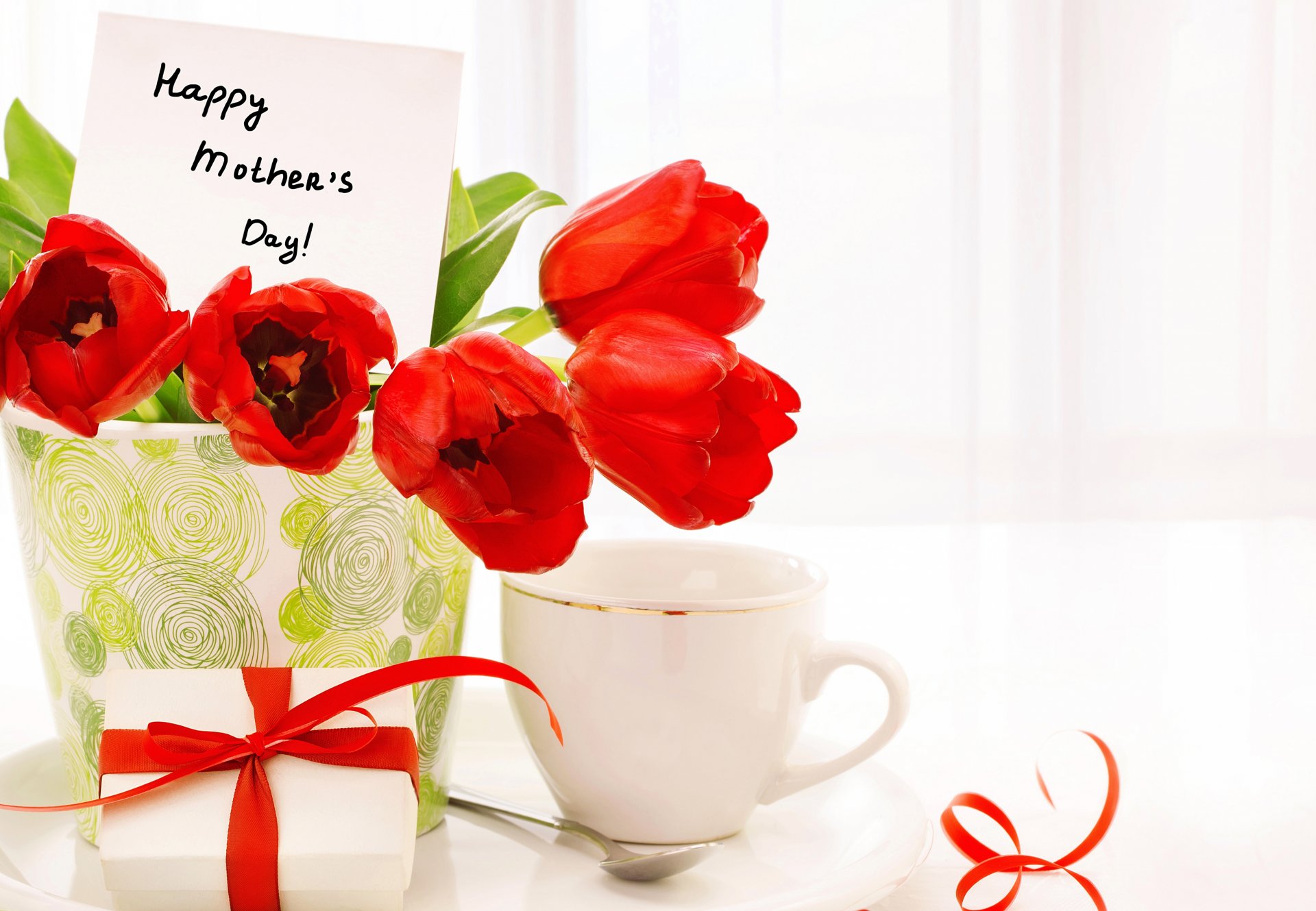 flower tulips red cup present