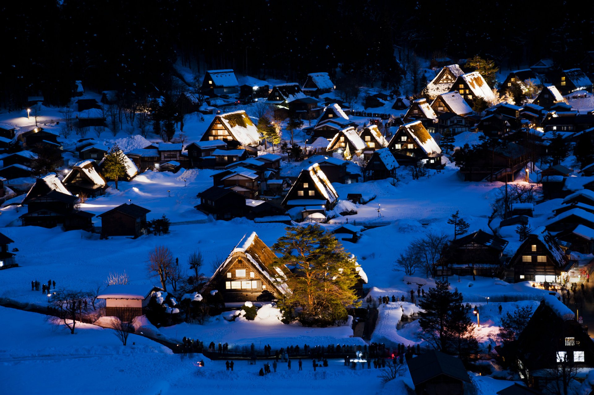 irakava-th gokayama the island of honshu japan night lights winter house snow