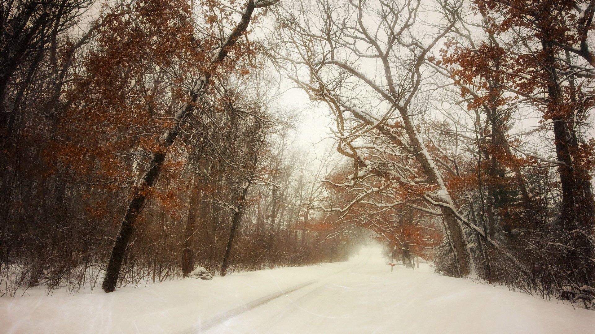 winter road snow landscape
