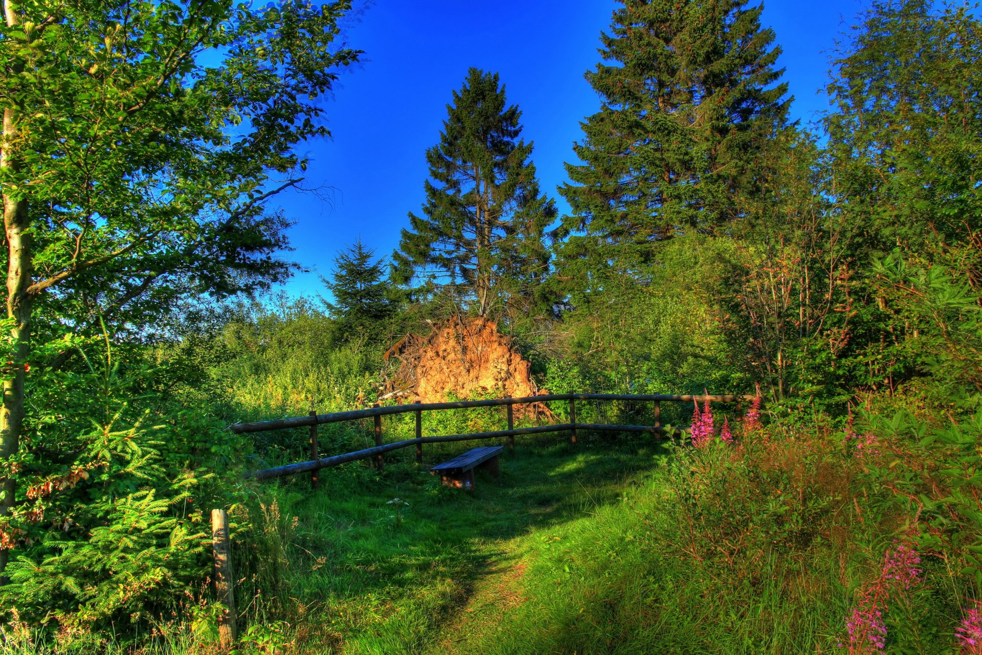 landscape germany summer hessen nature