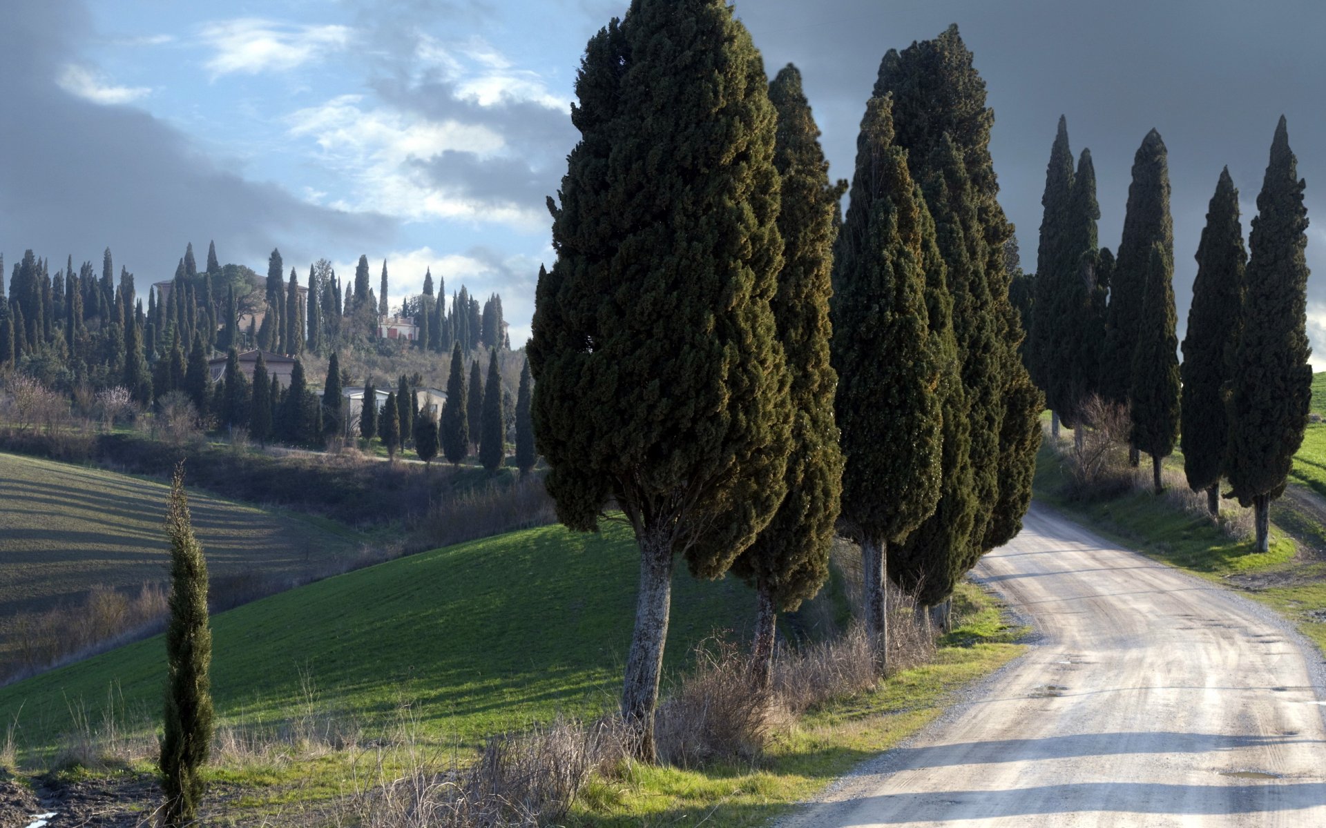 ilent guardians tuscany italy landscape