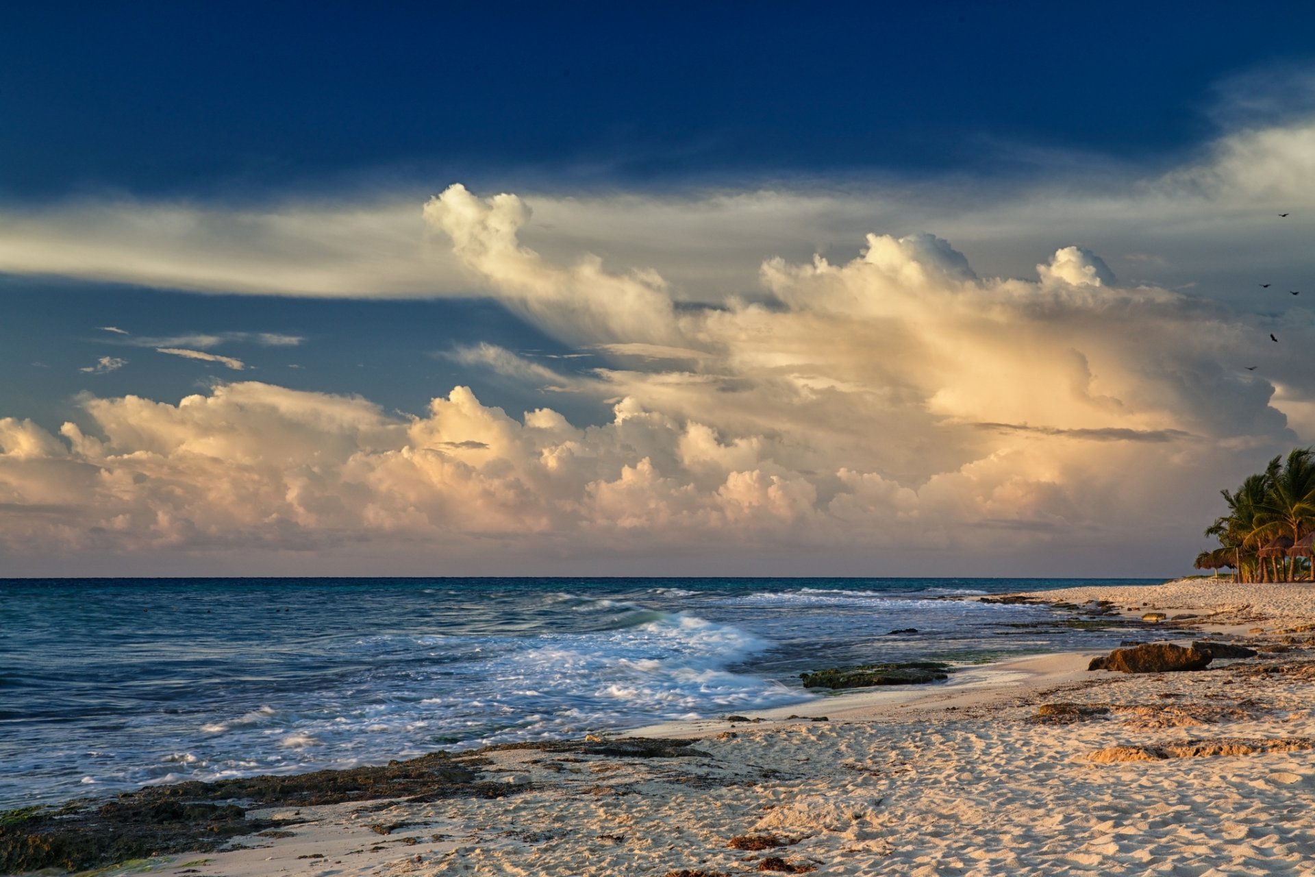 ea beach sand palm wind waves cloud