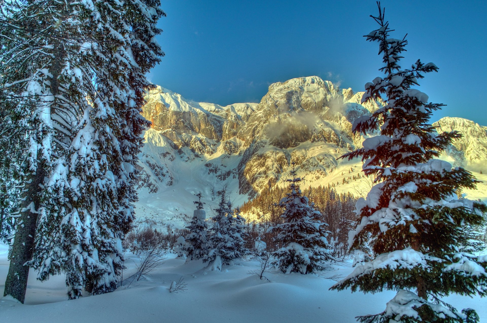 winter mountain austria snow tree spruce alps nature
