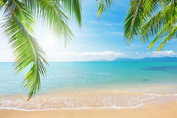 Nature. On the shore of the azure sea