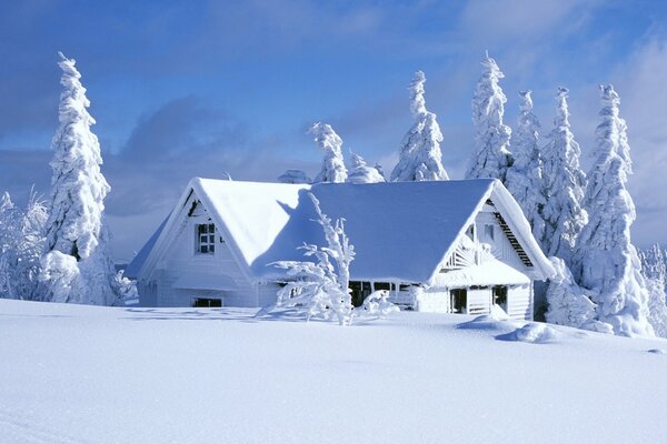 Winter nature landscape