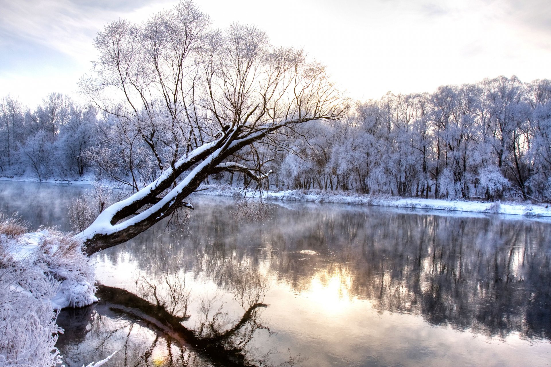 winter river branch frozen forest nature landscape cold season wonderland winter cool frost snow-capped tree river nature landscape reflection