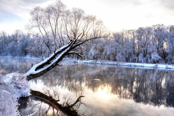 Winter wonderful landscape