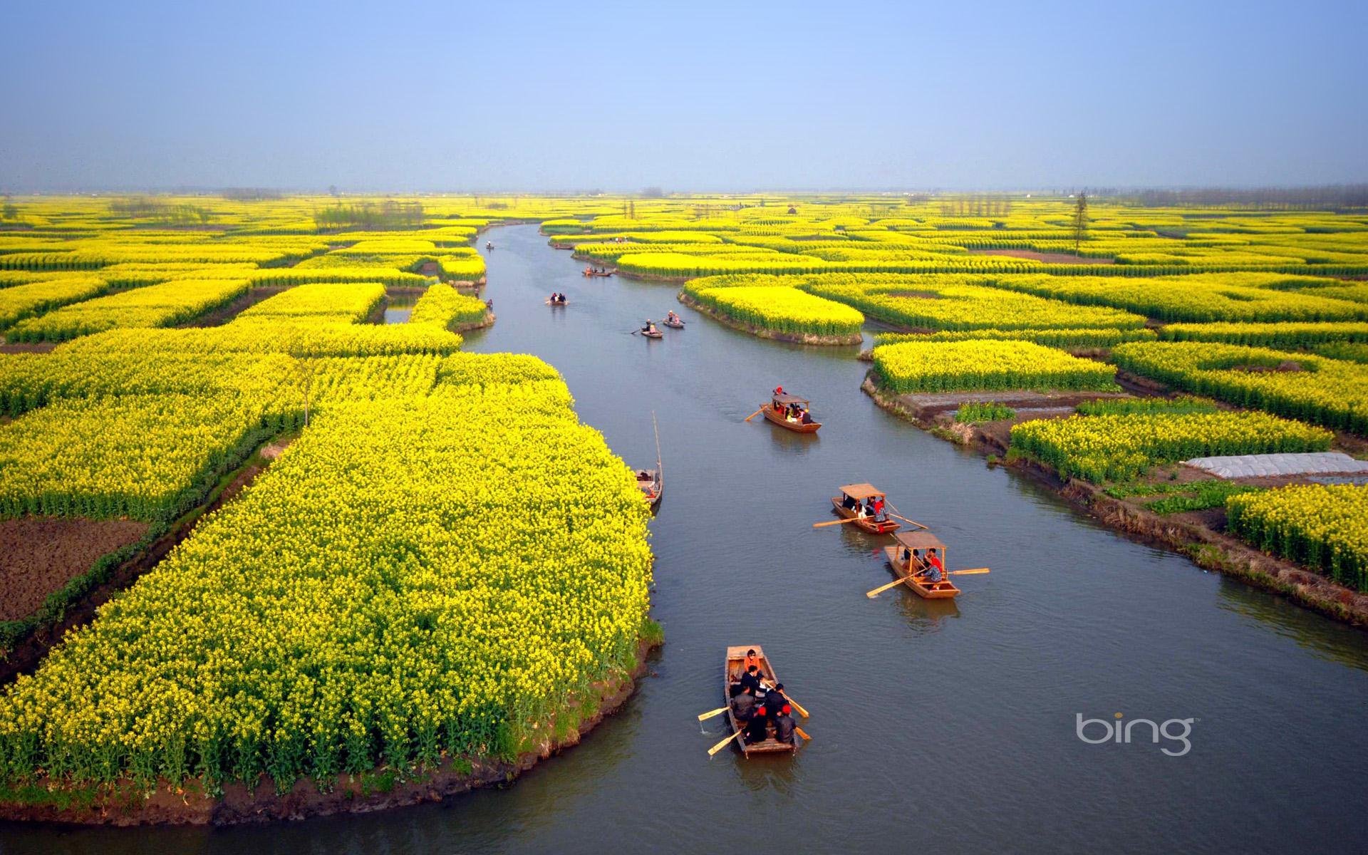 horizon channel the field flower boat people