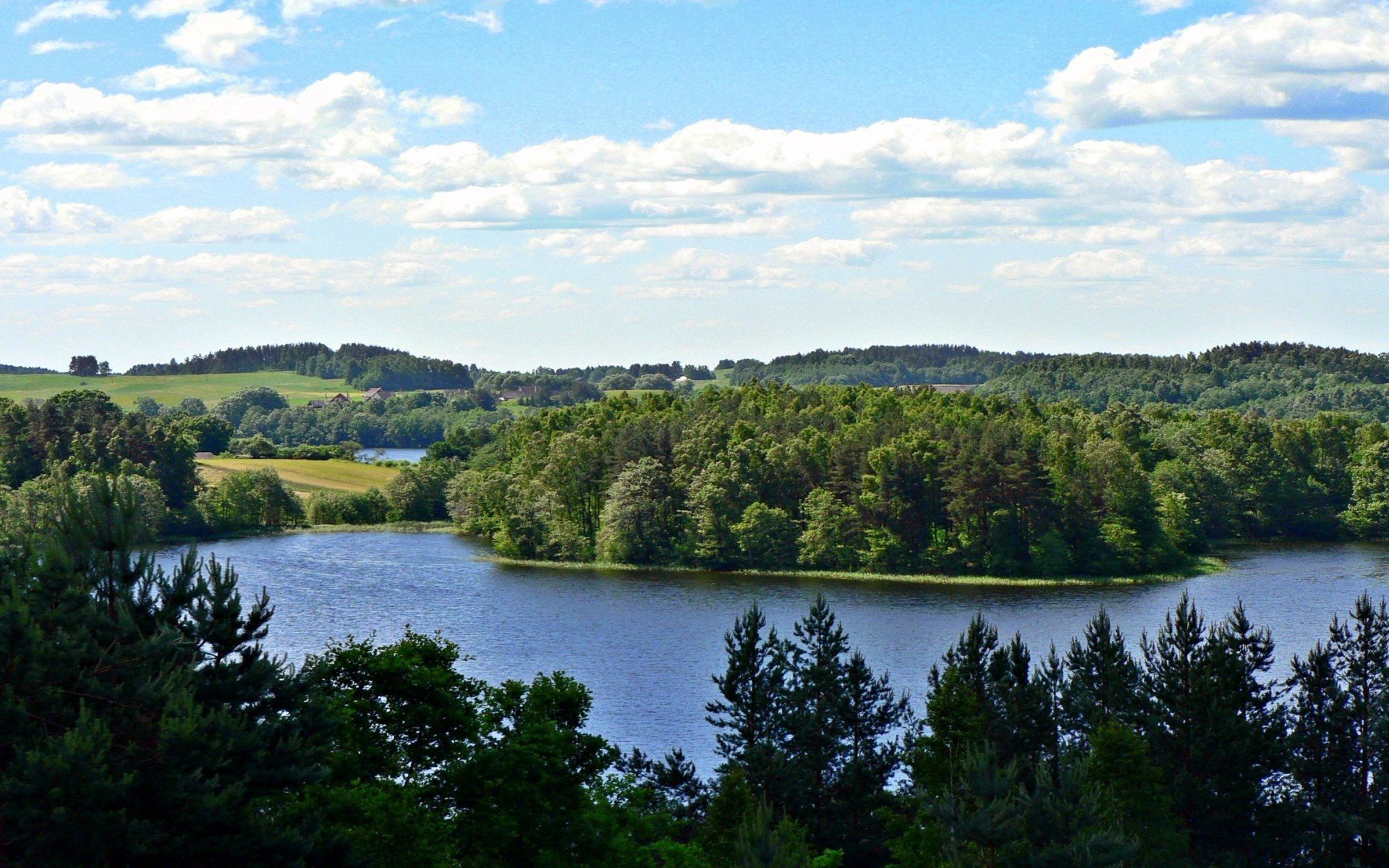 nature tree hills forest lithuania lake sky clouds photo
