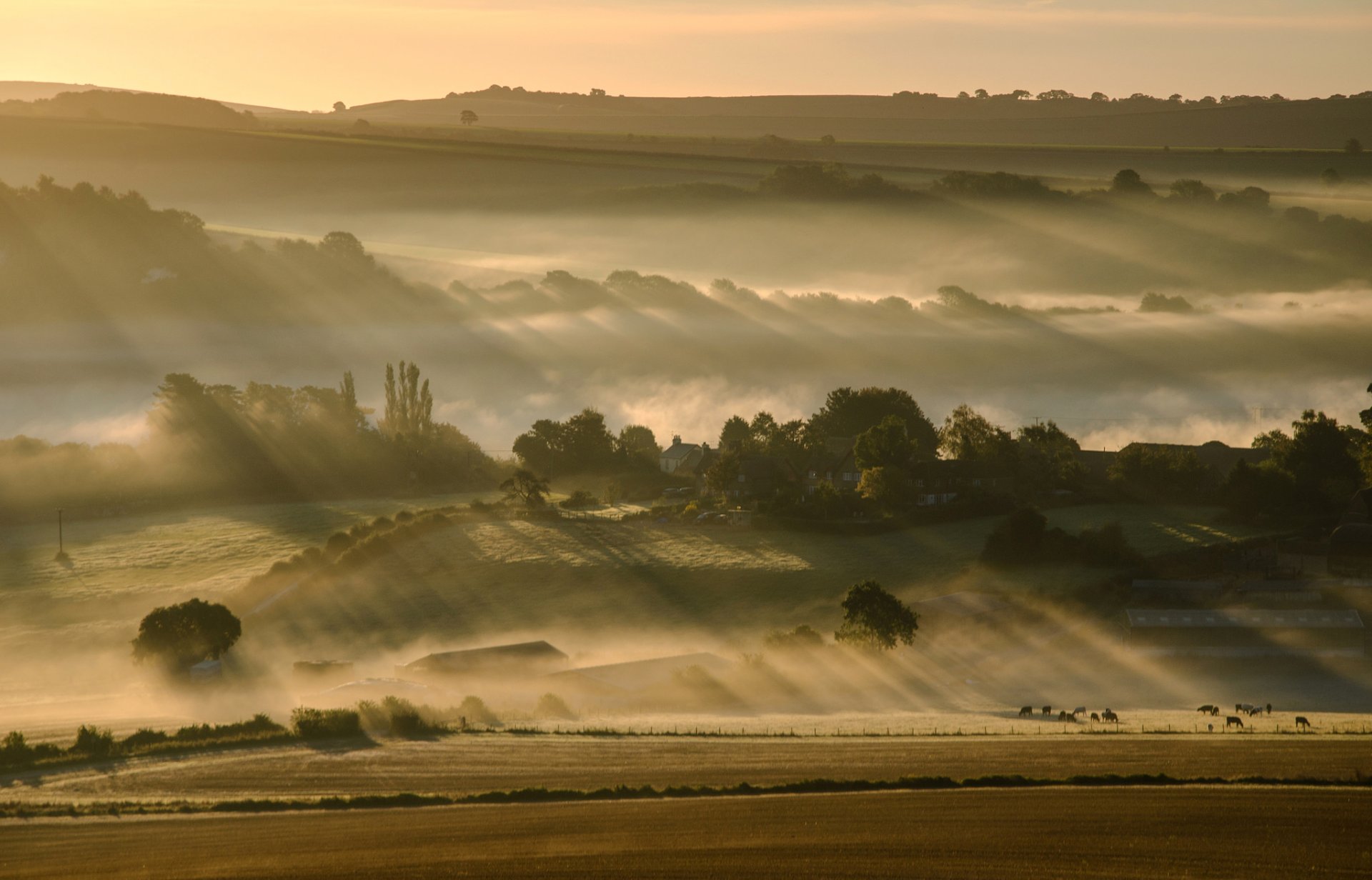 ky morning hills fog the field tree