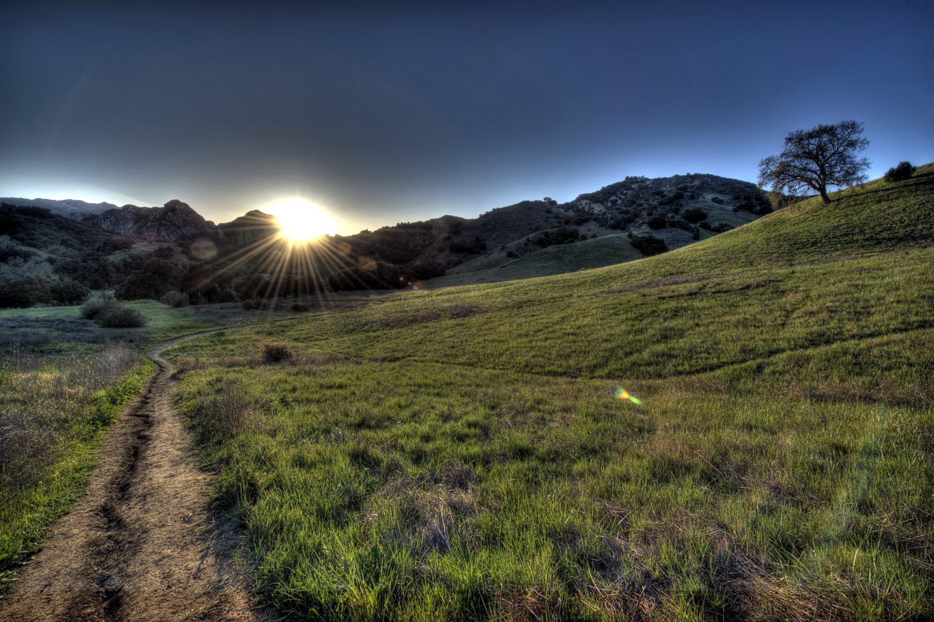 morning the field road landscape