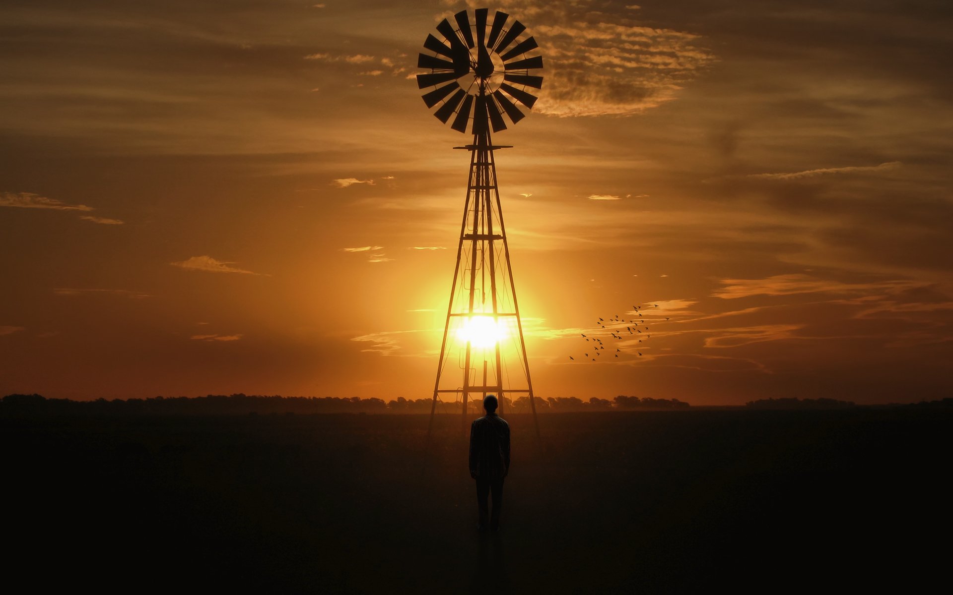 landscape mill sunset man sun bird