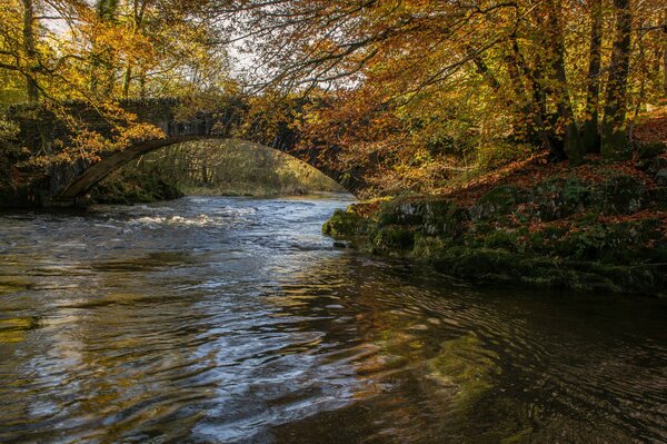 Bridge over the river in autumn