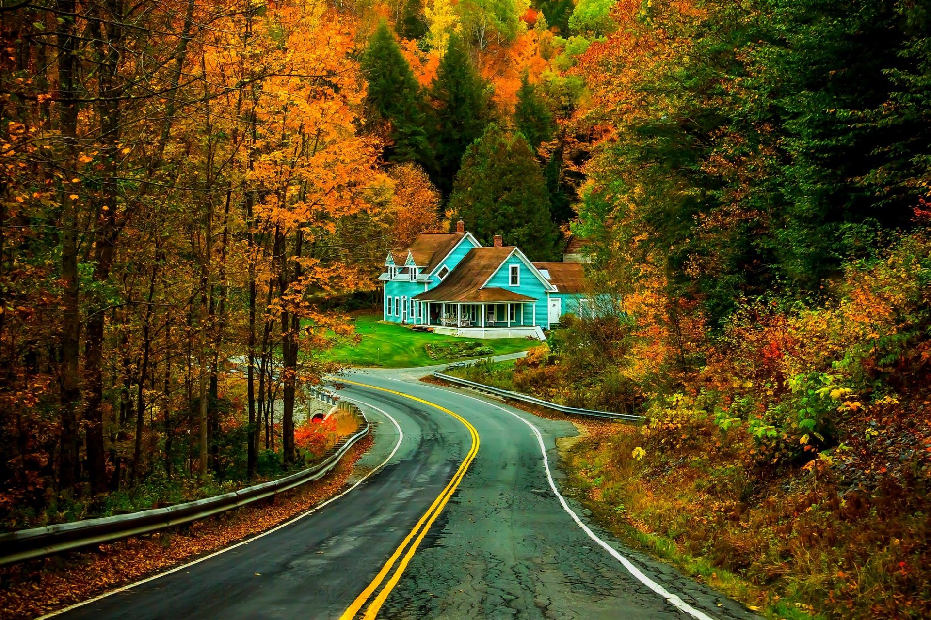 nature forest park trees leaves colorful road autumn fall colors walk grass house