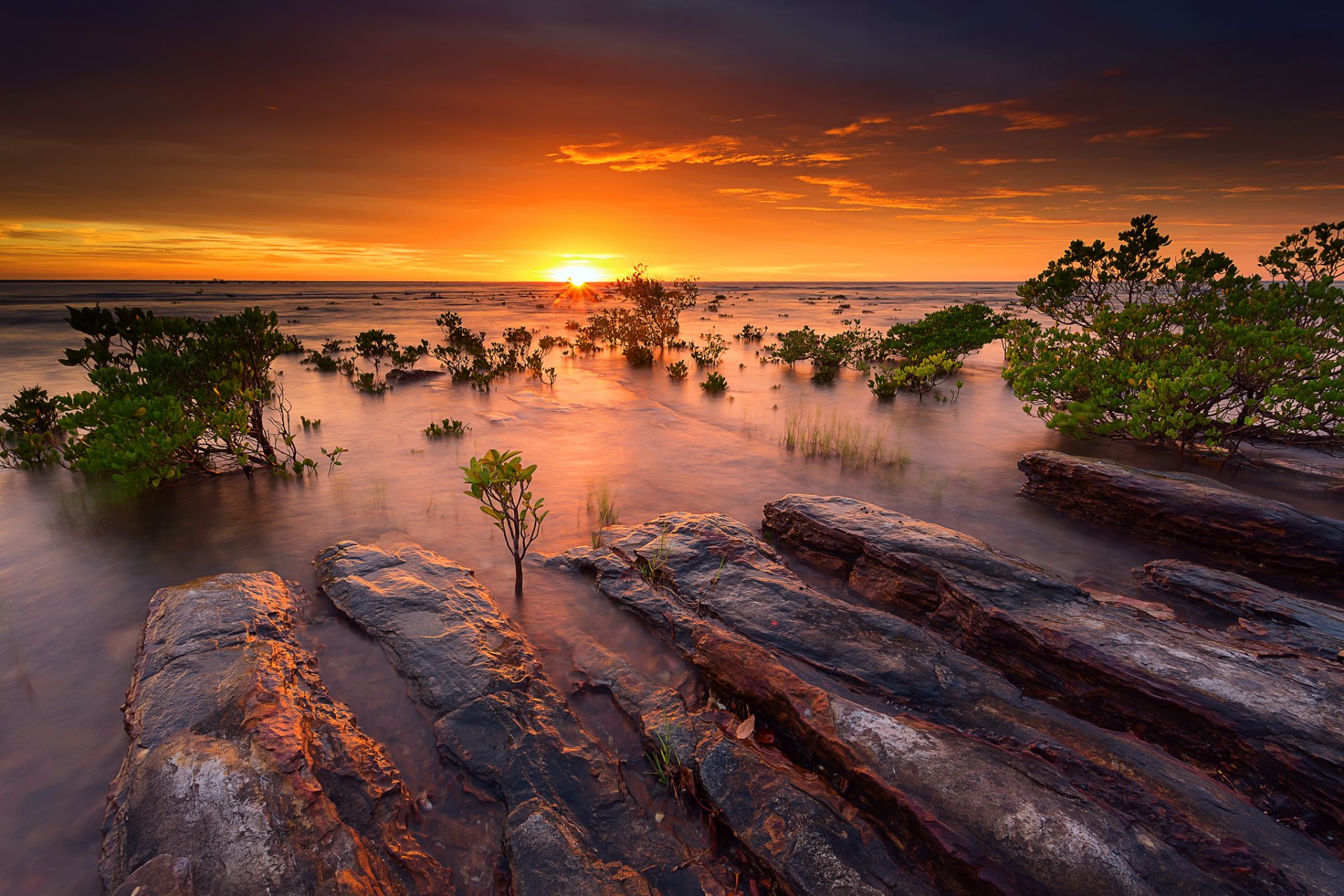 australia night sunset mangrove bushes sea ocean water stones sky sun