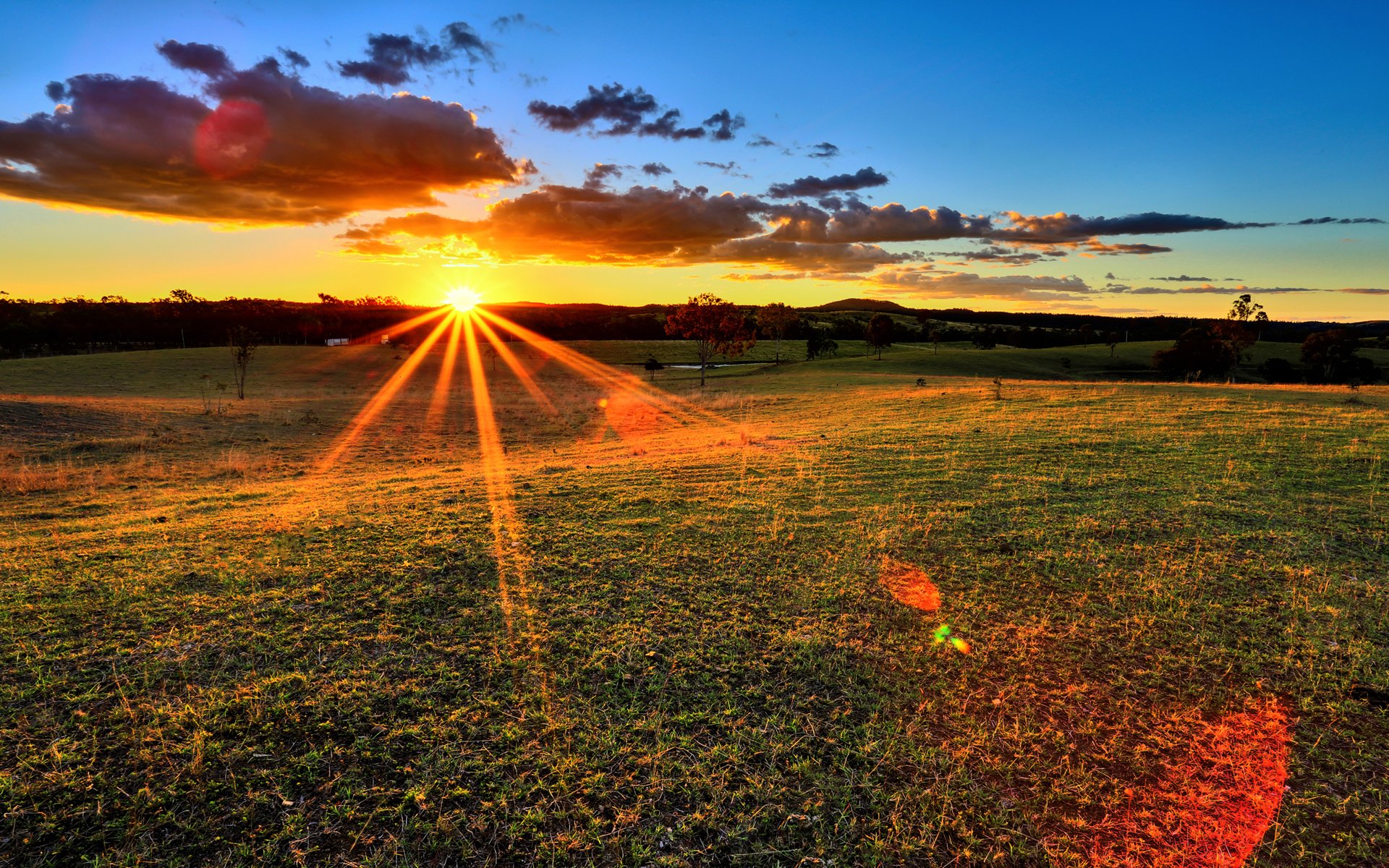 unset rays the field nature sun grass tree sky clouds horizon