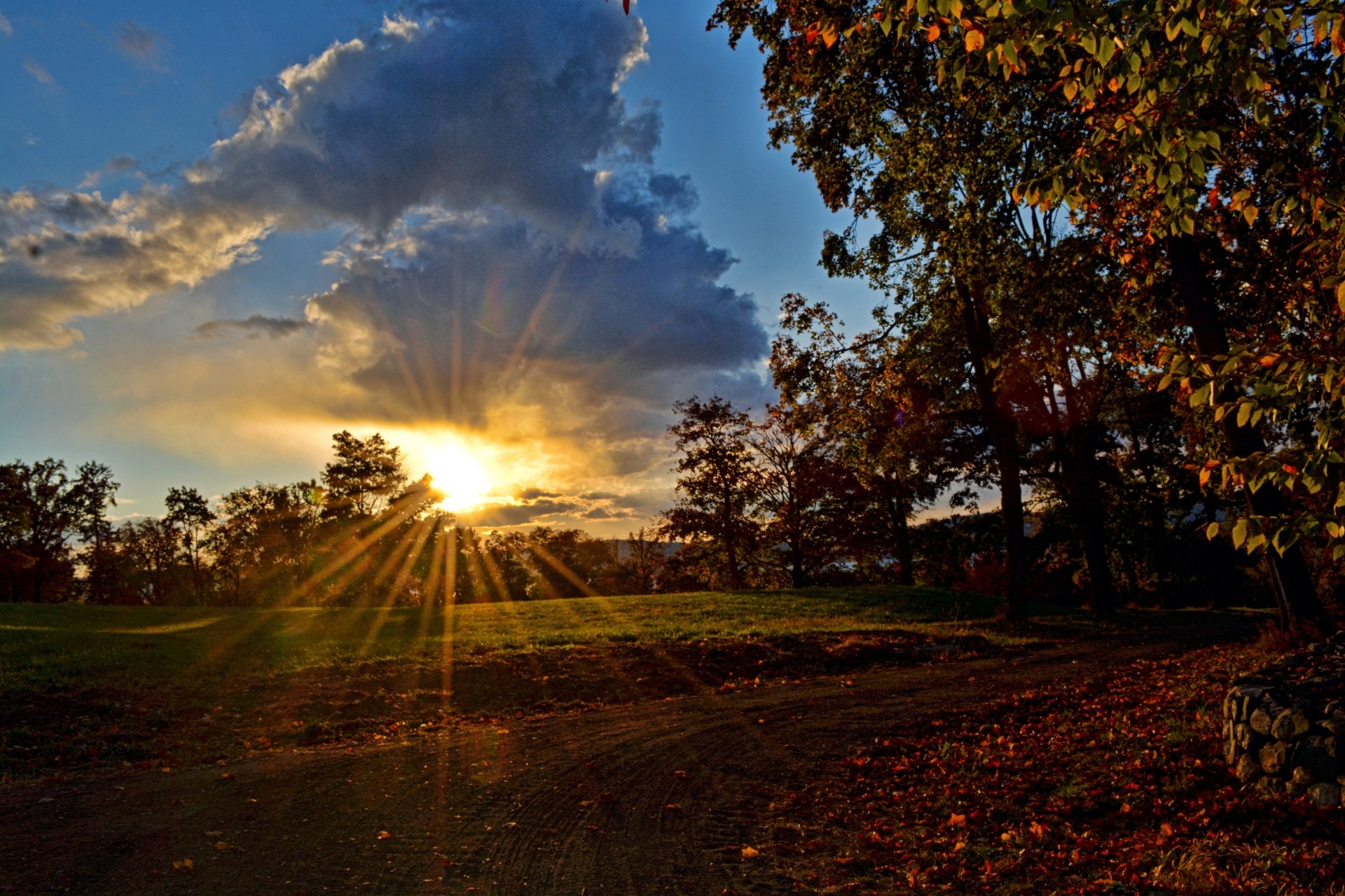 road tree sky clouds sun rays sunset night