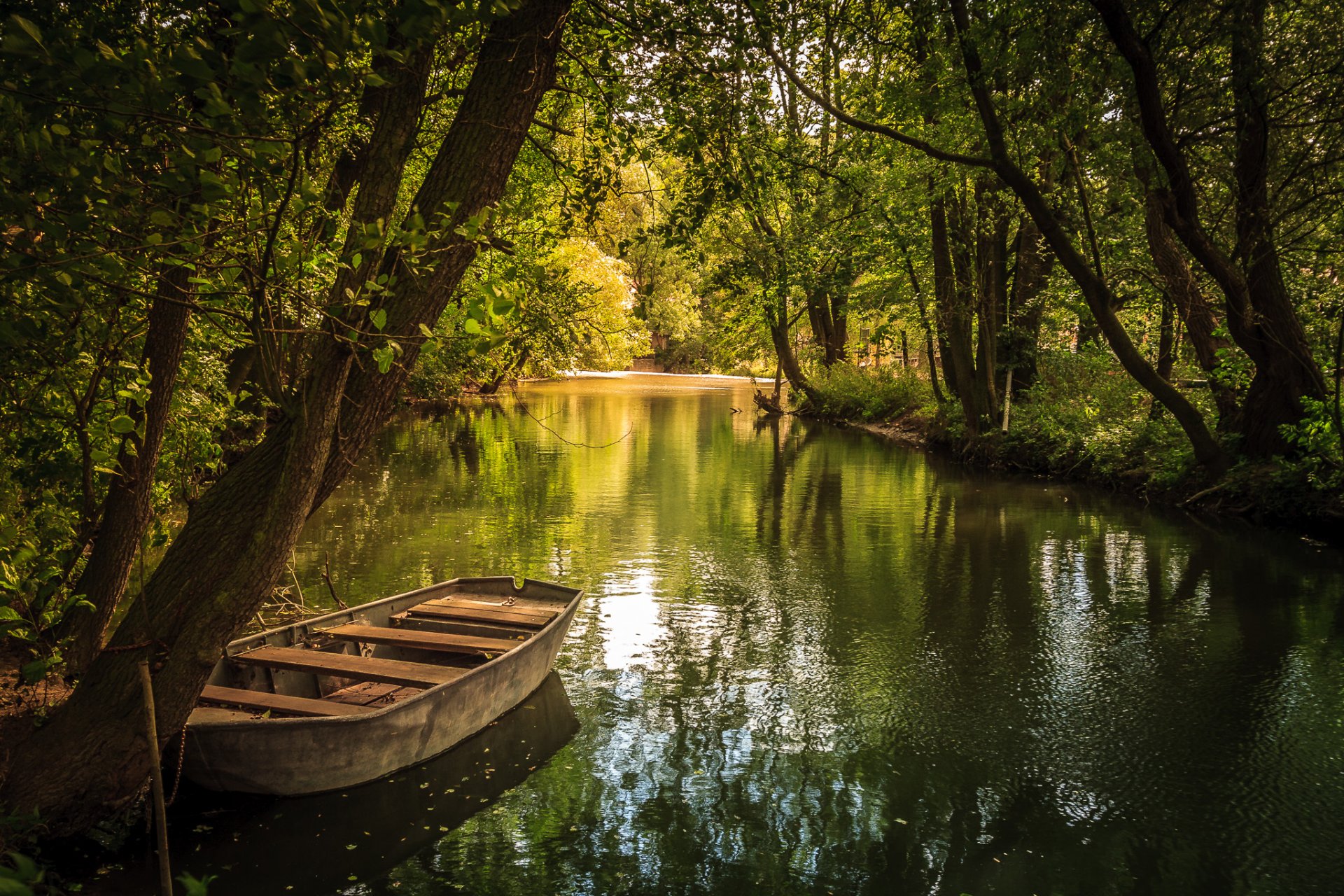 park lake pond boat summer