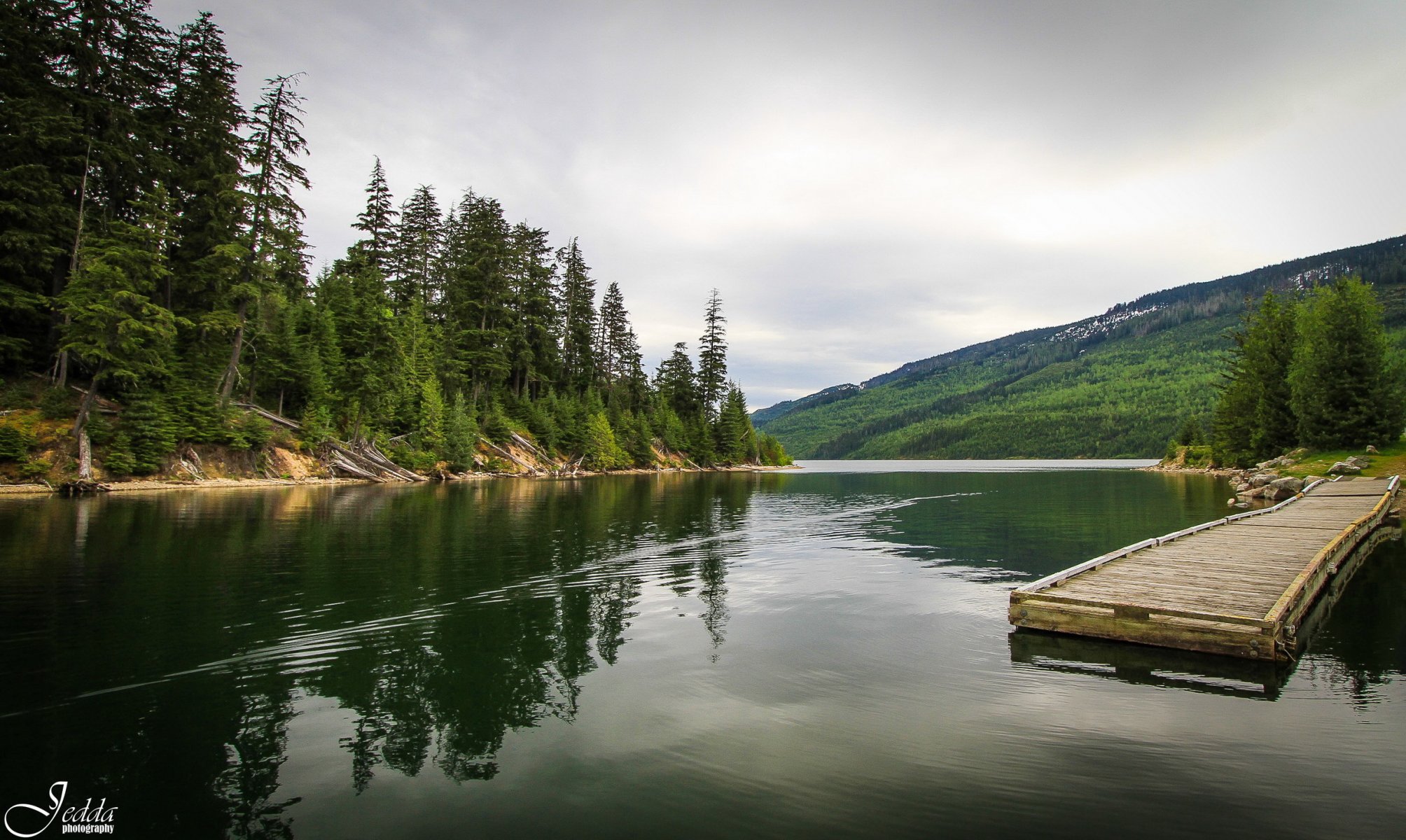 canada river forest bridge pier pier nature