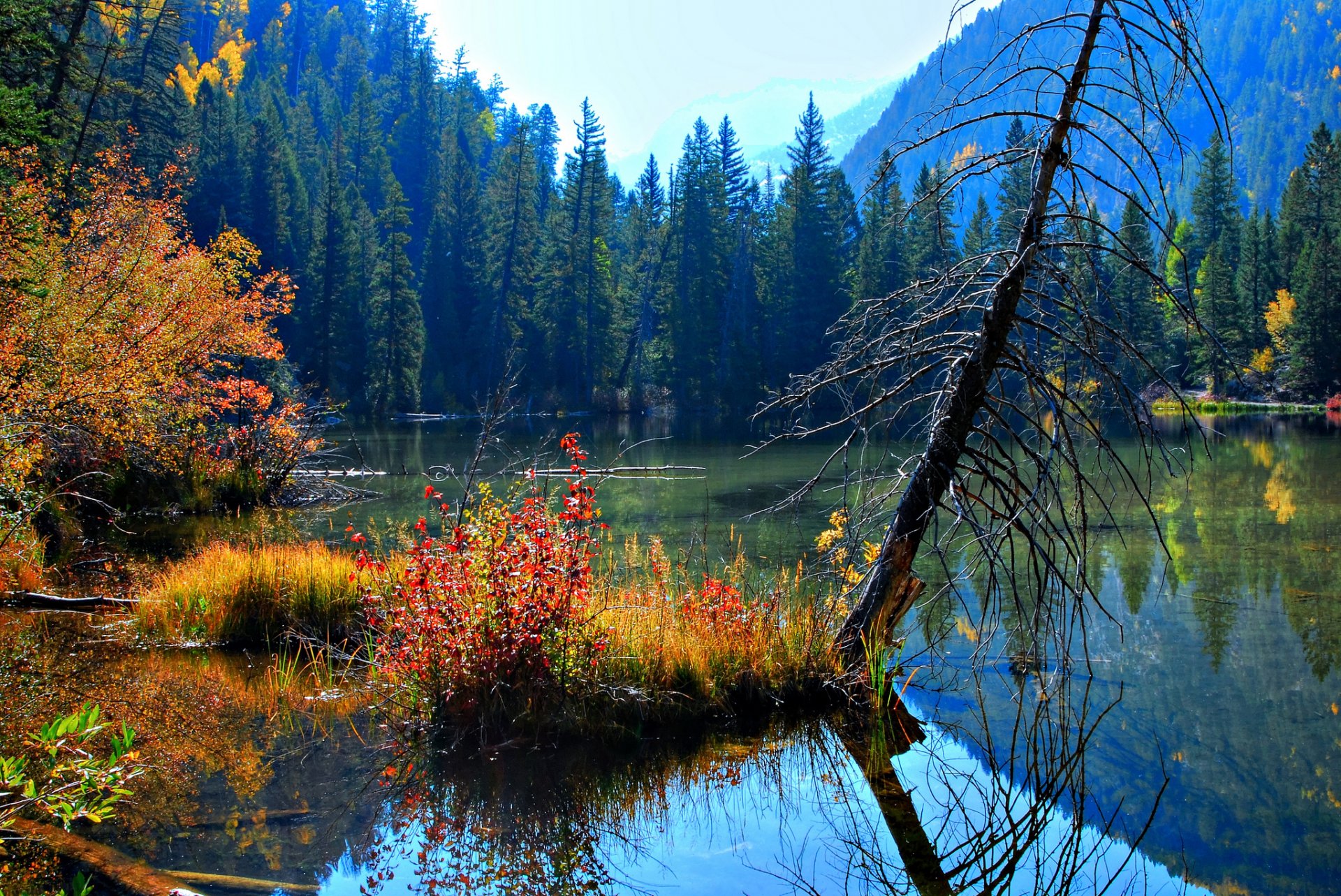 landscape beauty nature lake water . reflection trees . leaves. autumn sky