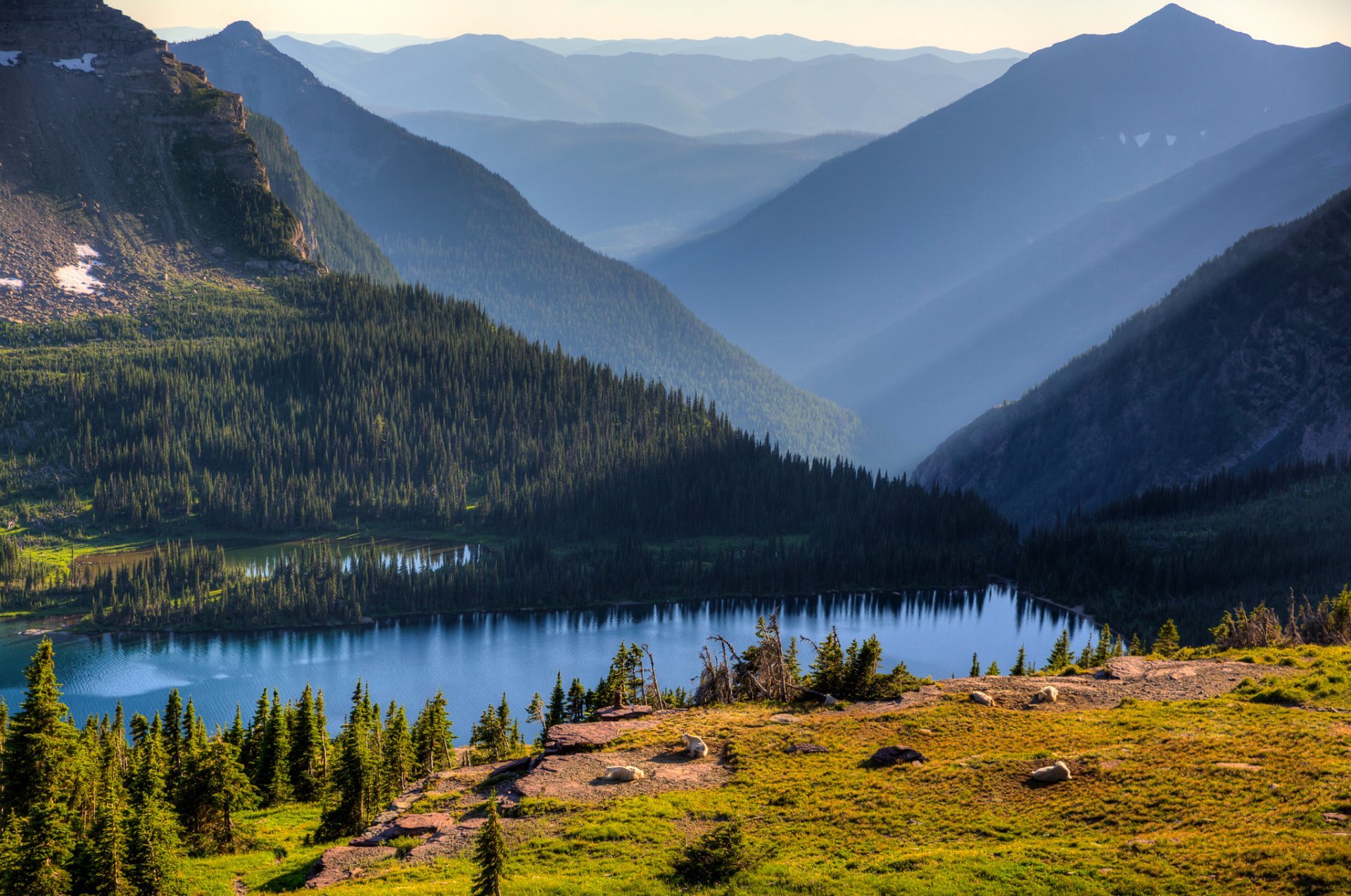 hidden lake banff national park alberta canada sky mountain lake tree